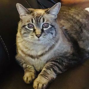 Meet your Posher, Cherie